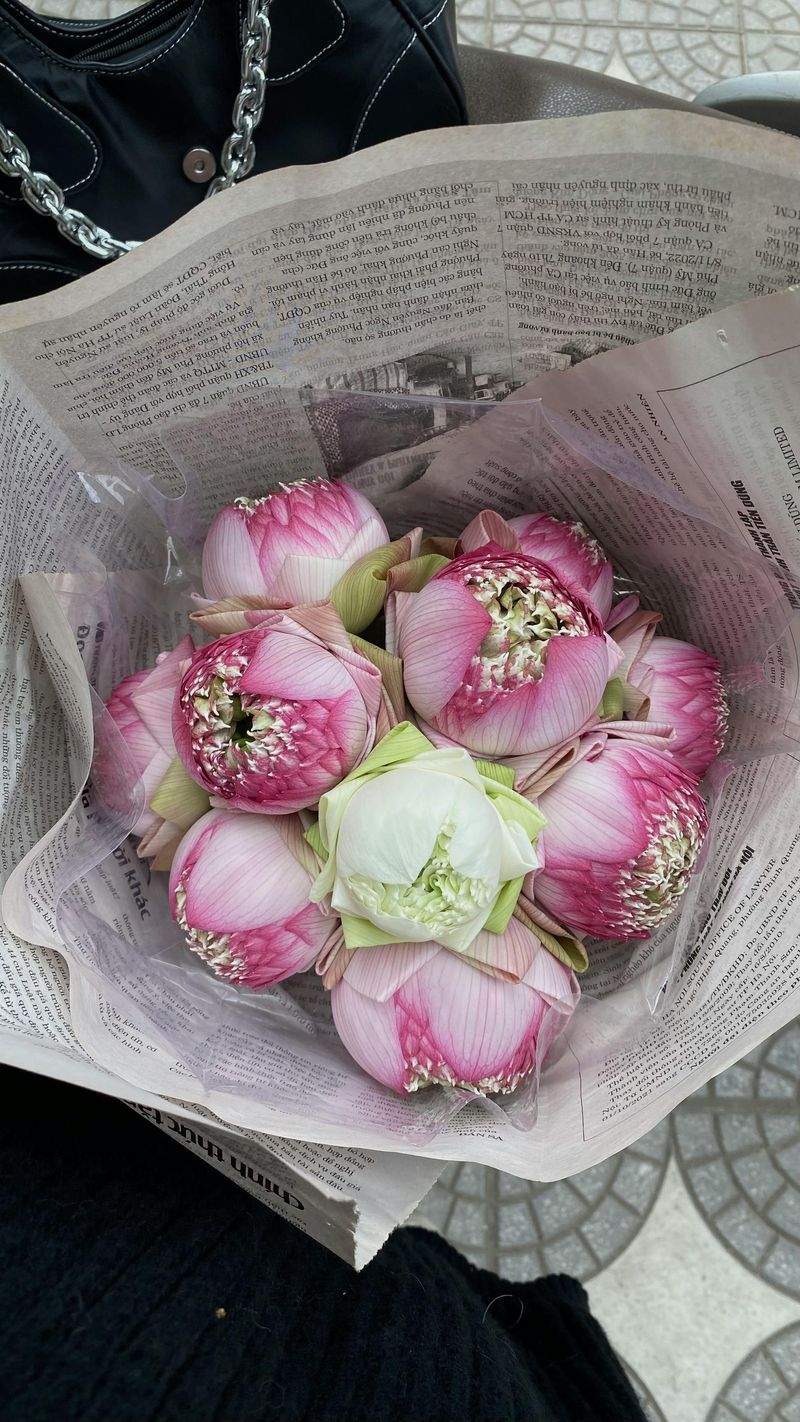 Innovatech GmbH - Image 12